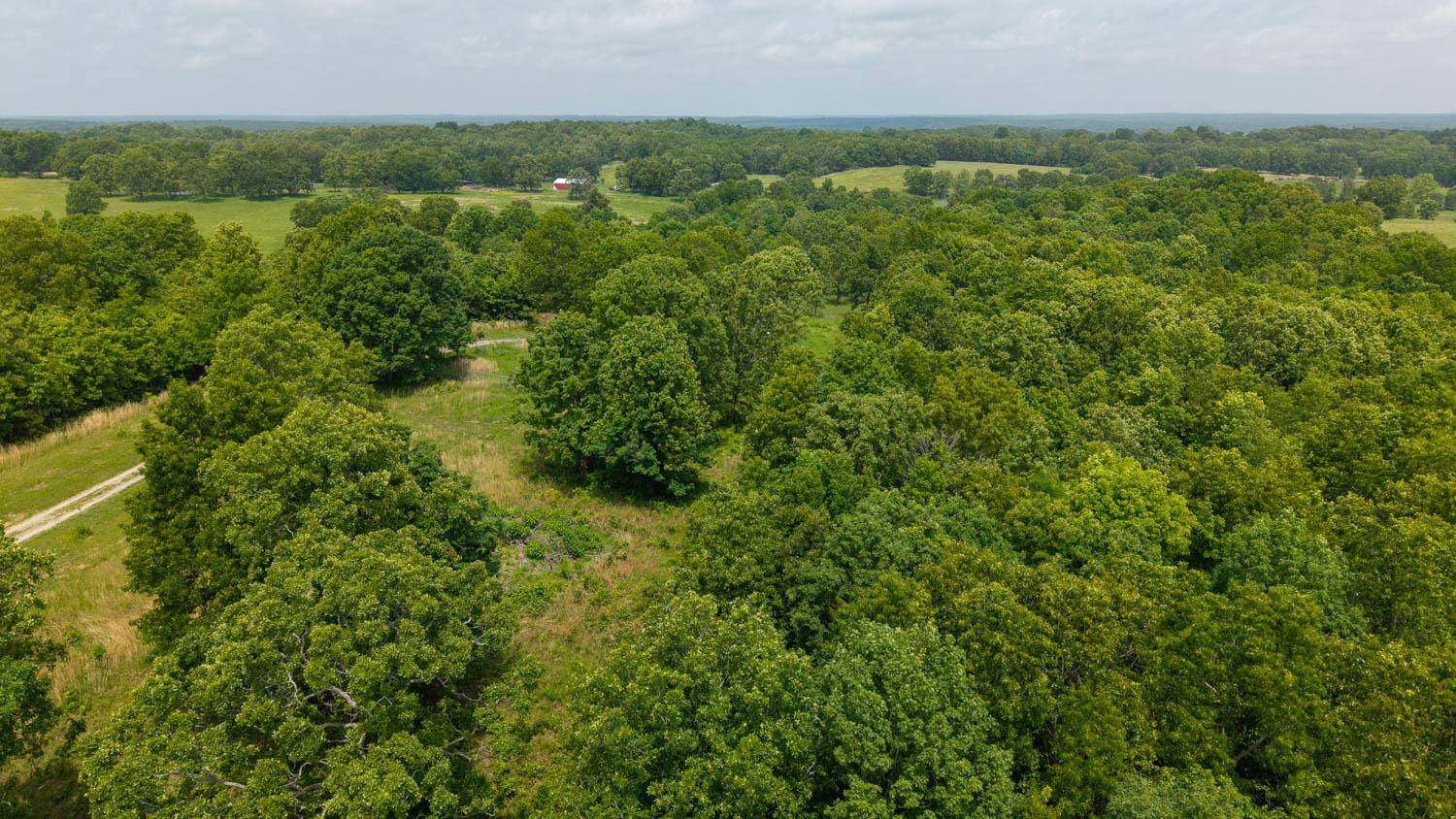172 Missouri Highway 63 Property Photo 83