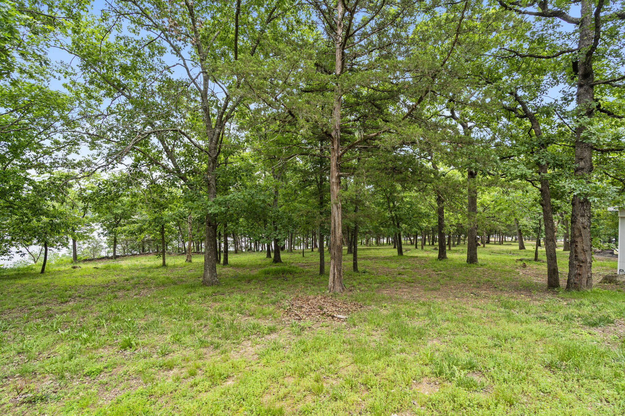 1480 Peebles Point Road Property Photo 29