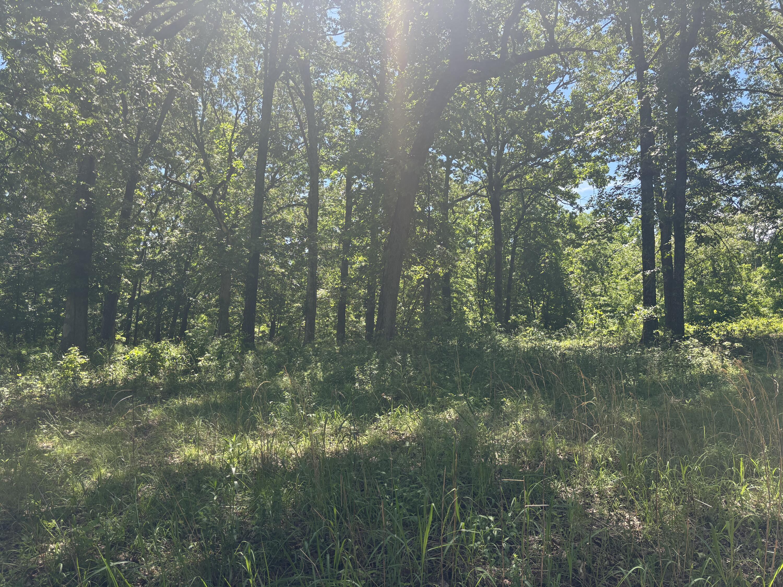 60295102 Property Photo