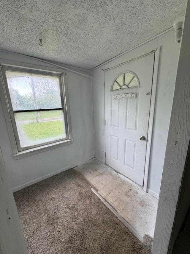 516 Sunshine Drive Property Photo 7