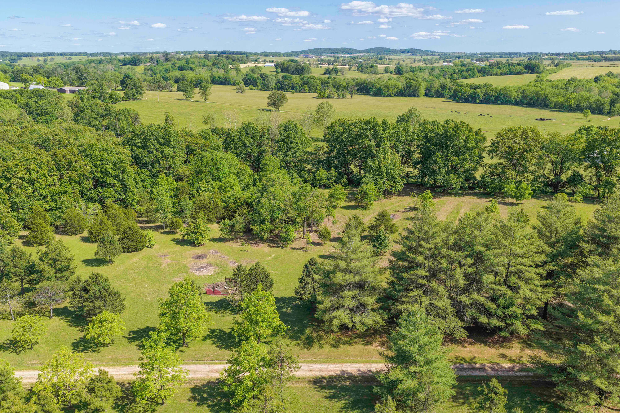 10694 Red Spring Road Property Photo 9