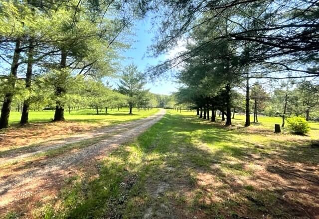 10694 Red Spring Road Property Photo 41