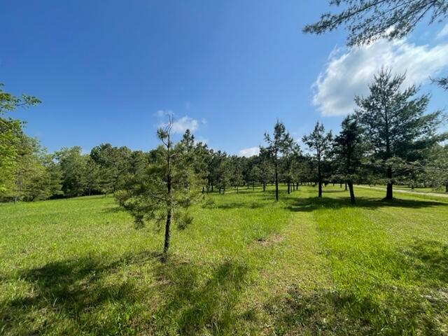 10694 Red Spring Road Property Photo 42