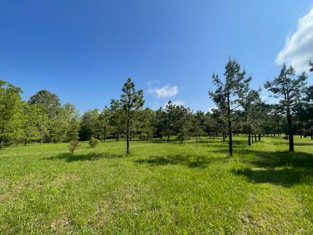 10694 Red Spring Road Property Photo 43