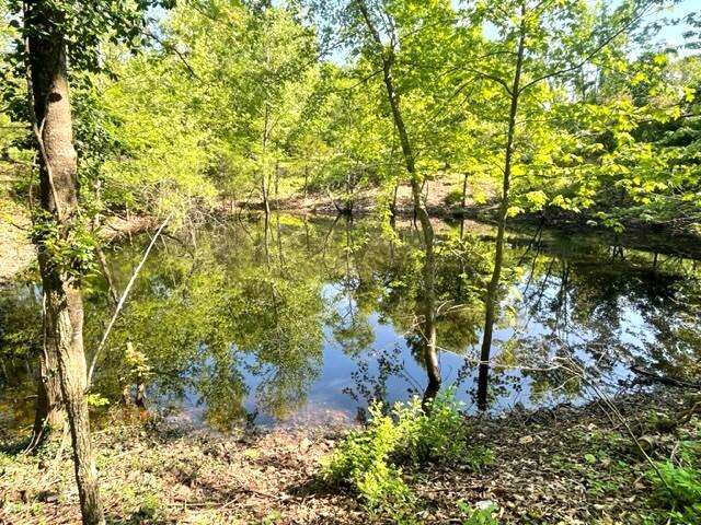 10694 Red Spring Road Property Photo 44