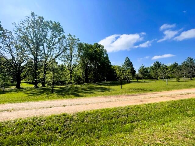 10694 Red Spring Road Property Photo 45