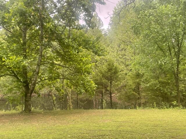 10694 Red Spring Road Property Photo 55