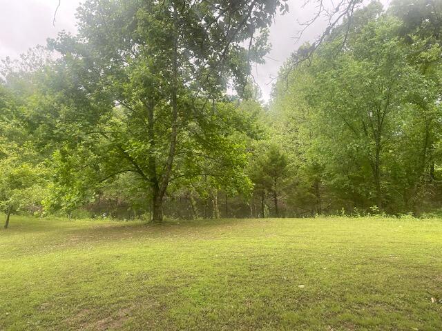 10694 Red Spring Road Property Photo 57