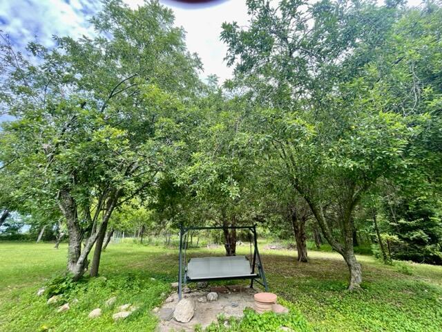 10694 Red Spring Road Property Photo 64