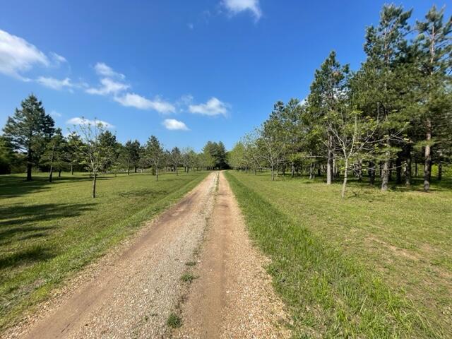 10694 Red Spring Road Property Photo 66