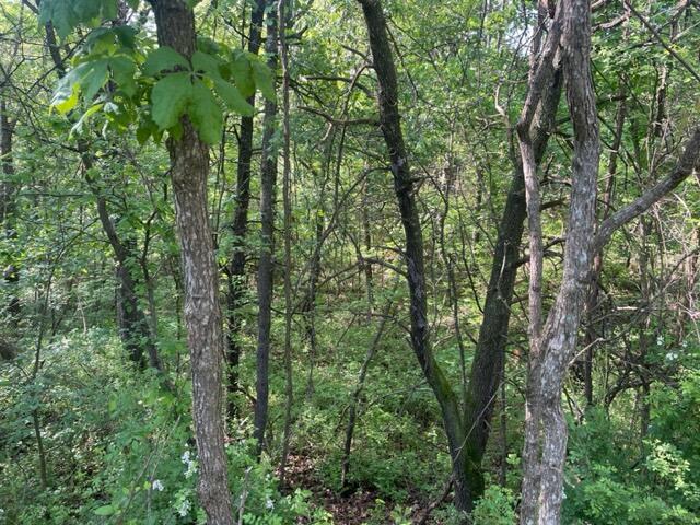 10694 Red Spring Road Property Photo 68