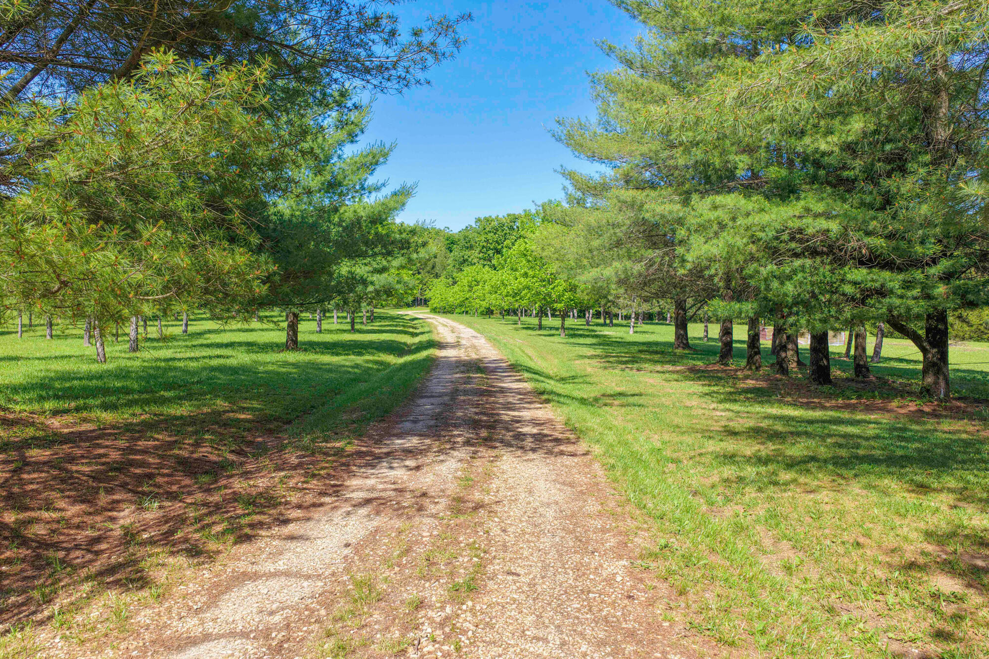 10694 Red Spring Road Property Photo 71