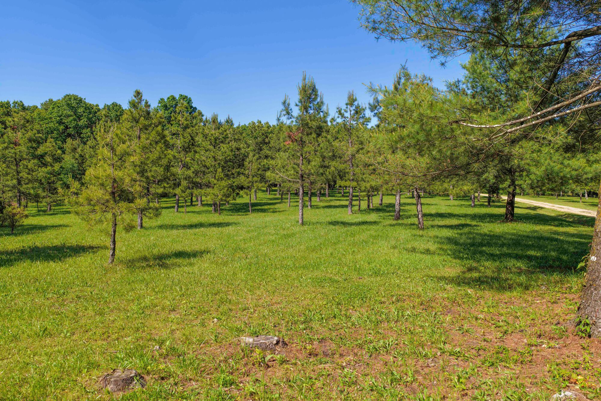 10694 Red Spring Road Property Photo 72