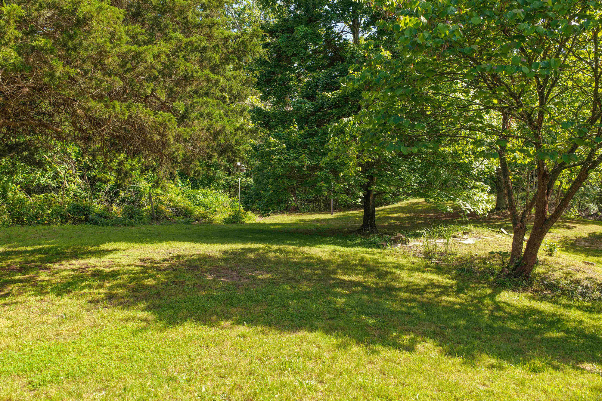 10694 Red Spring Road Property Photo 78