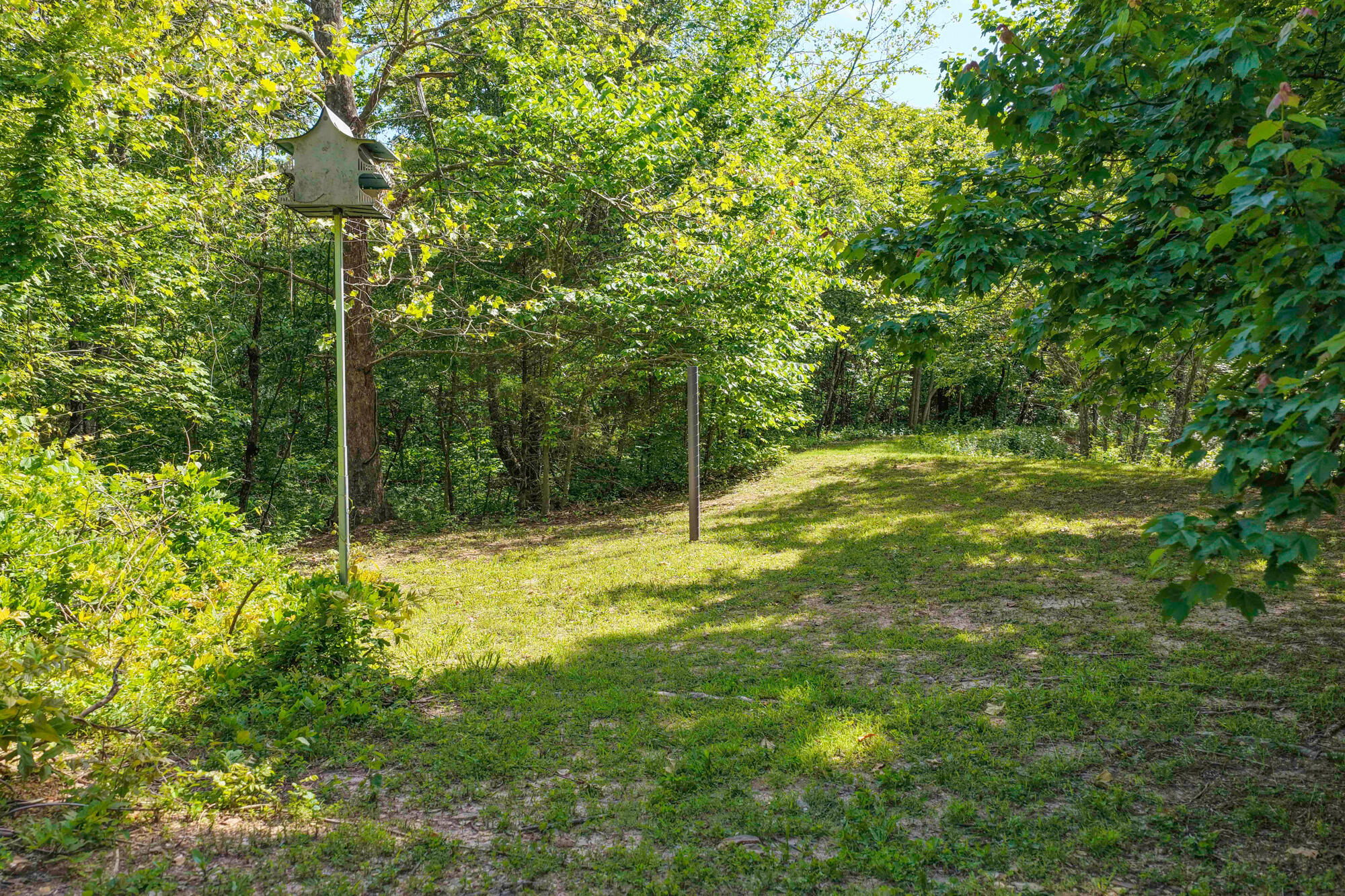 10694 Red Spring Road Property Photo 81