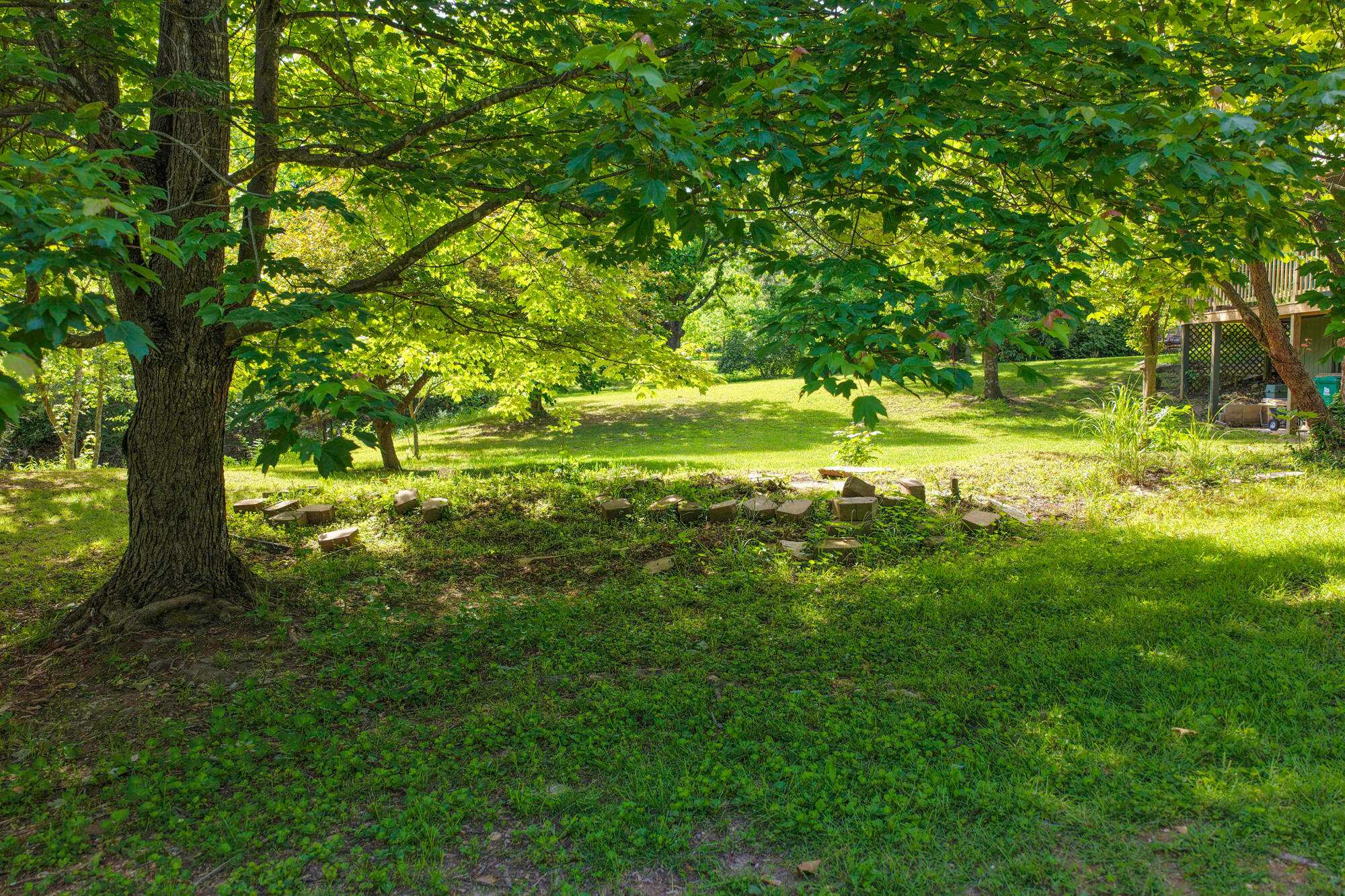10694 Red Spring Road Property Photo 82