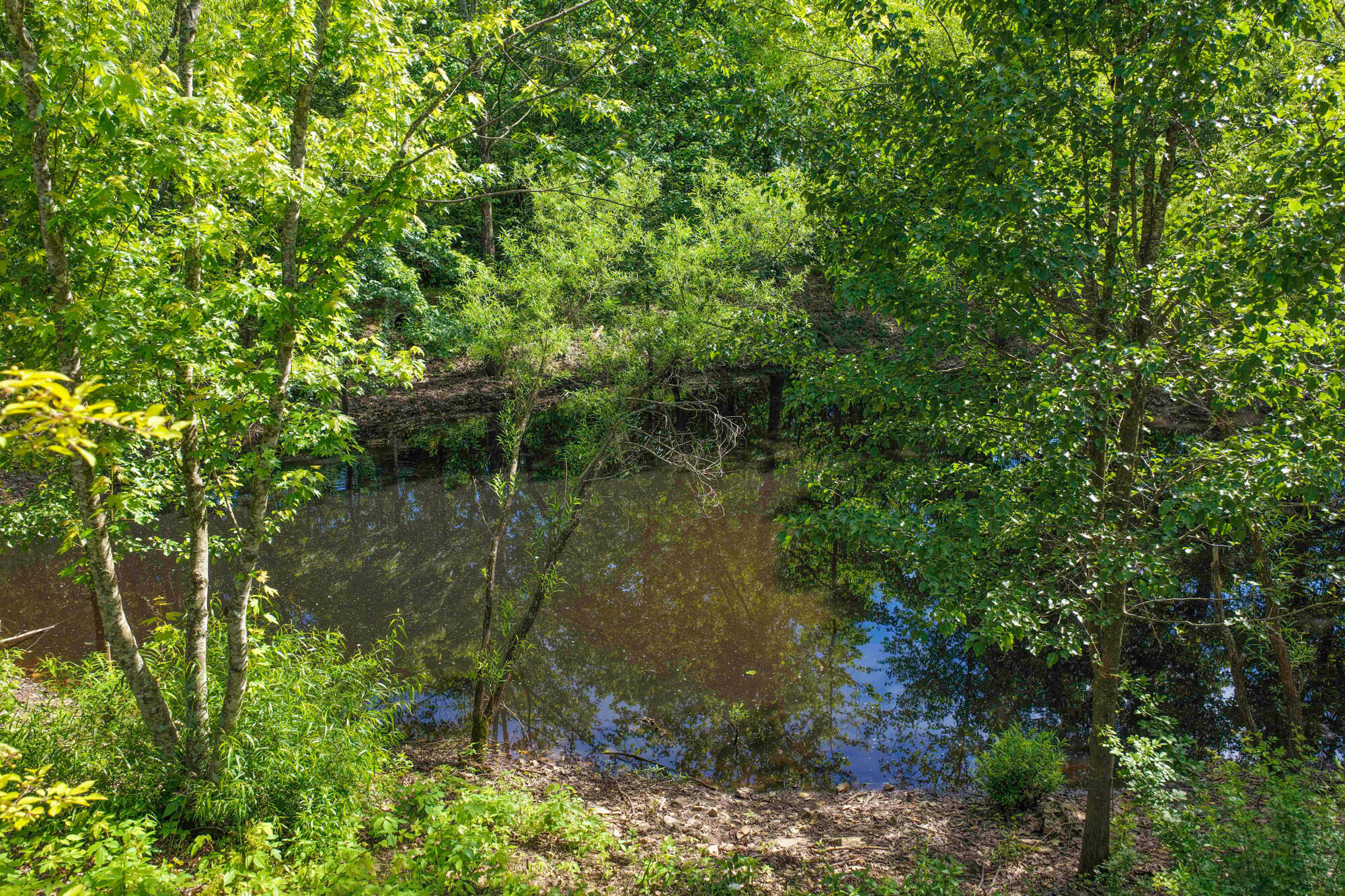 10694 Red Spring Road Property Photo 85