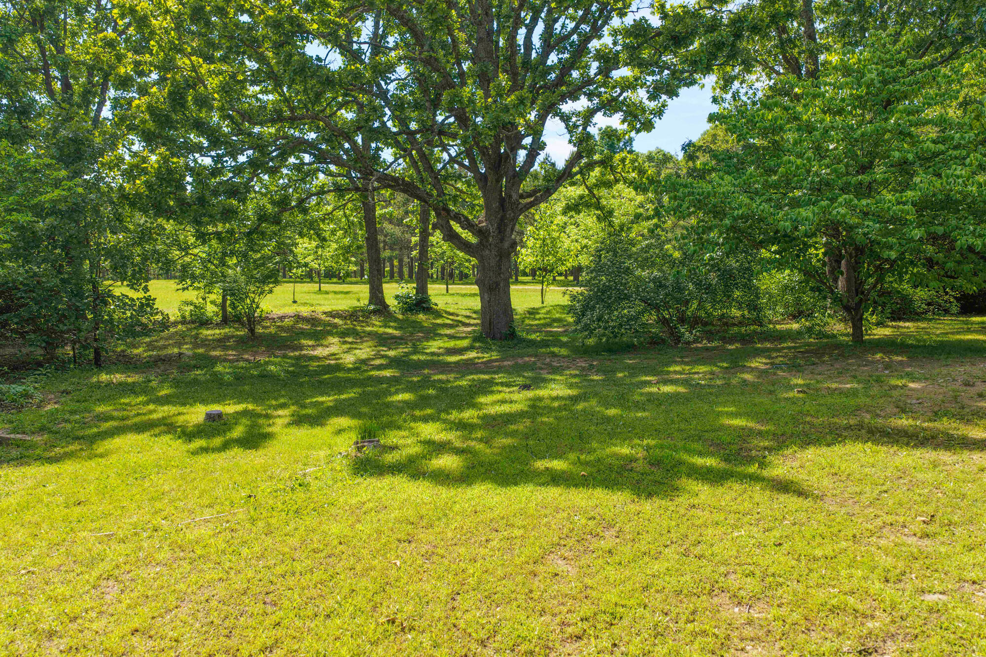 10694 Red Spring Road Property Photo 86