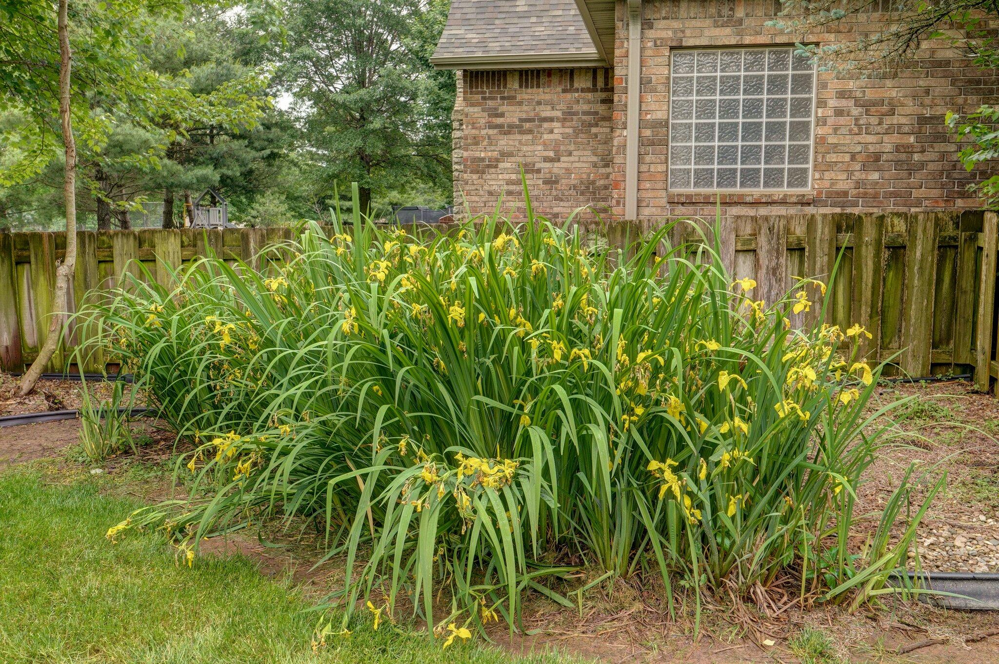 1010 East Lakewood Street Property Photo 28