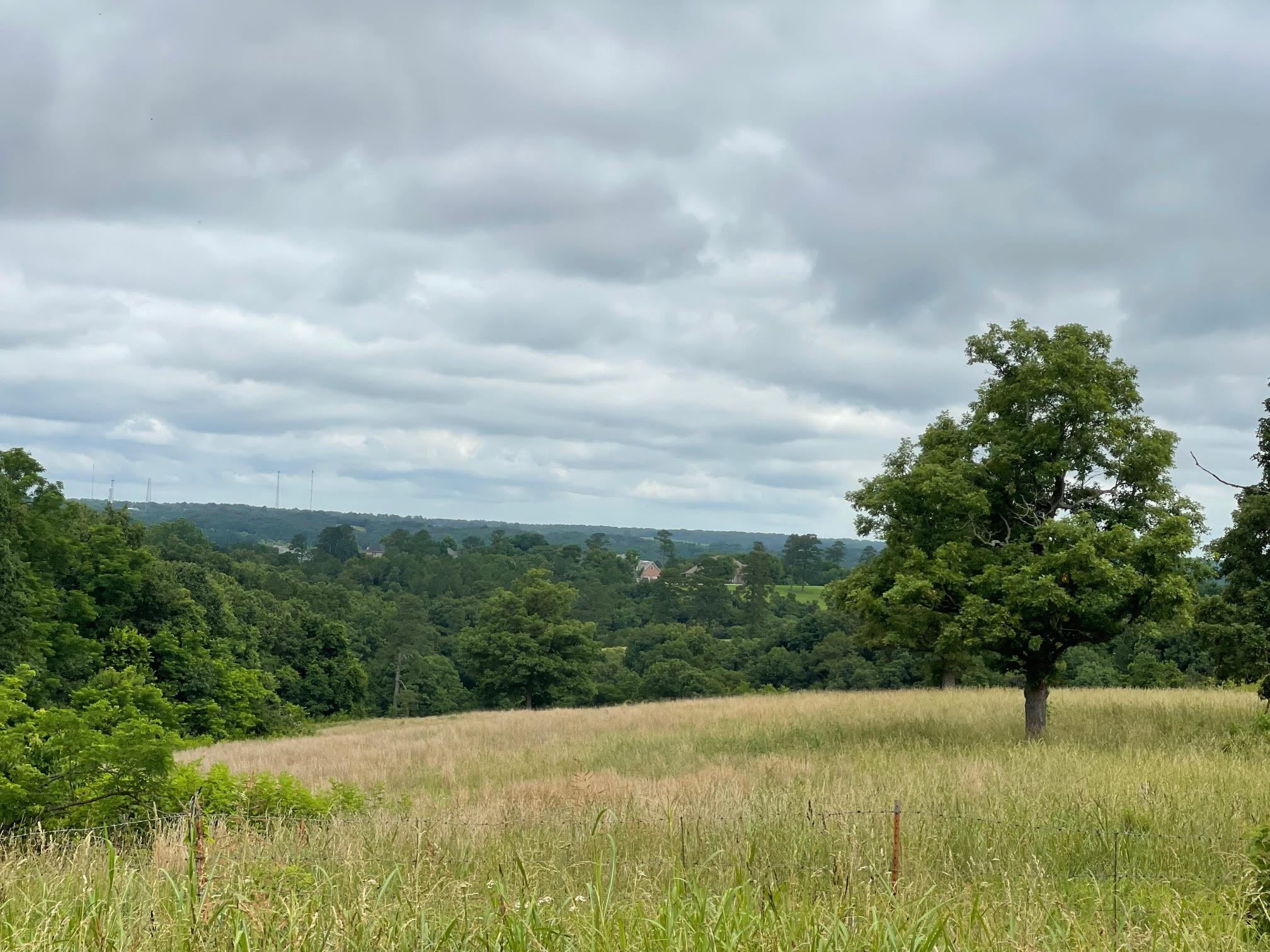 16.7 Ac Turkey Ridge Court Property Photo 1