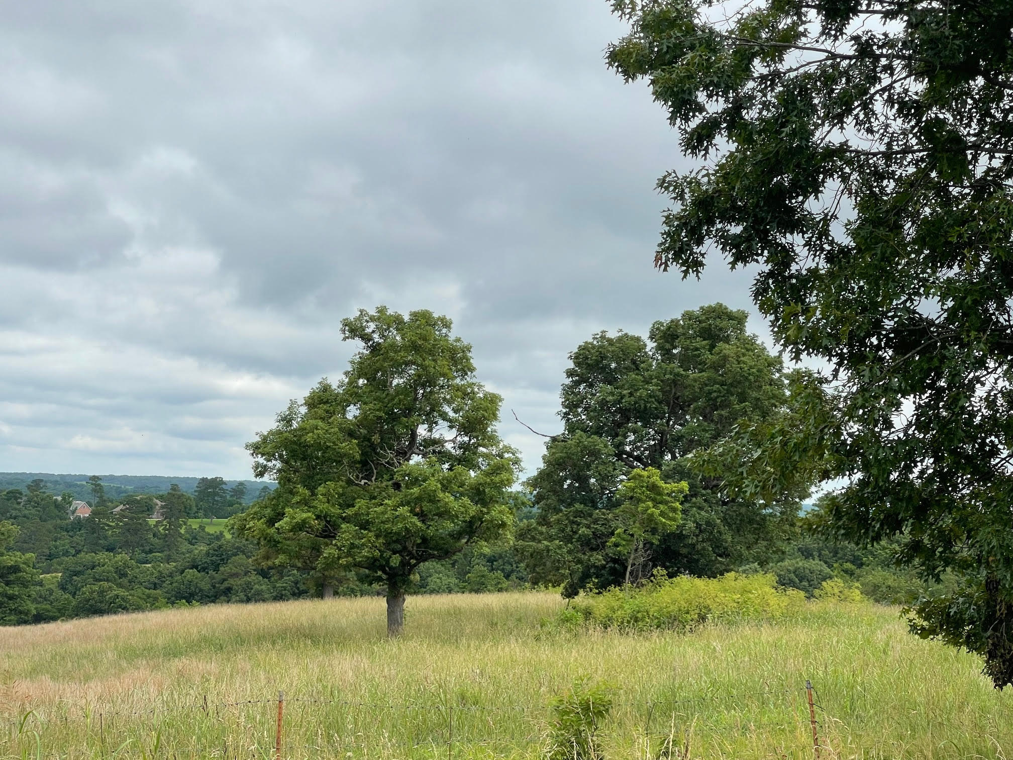 16.7 Ac Turkey Ridge Court Property Photo 2