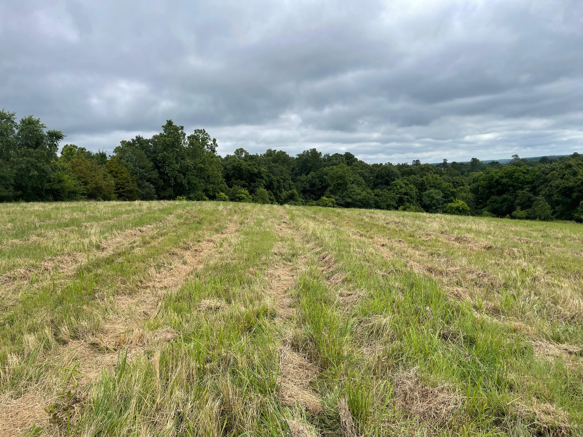 16.7 Ac Turkey Ridge Court Property Photo 3