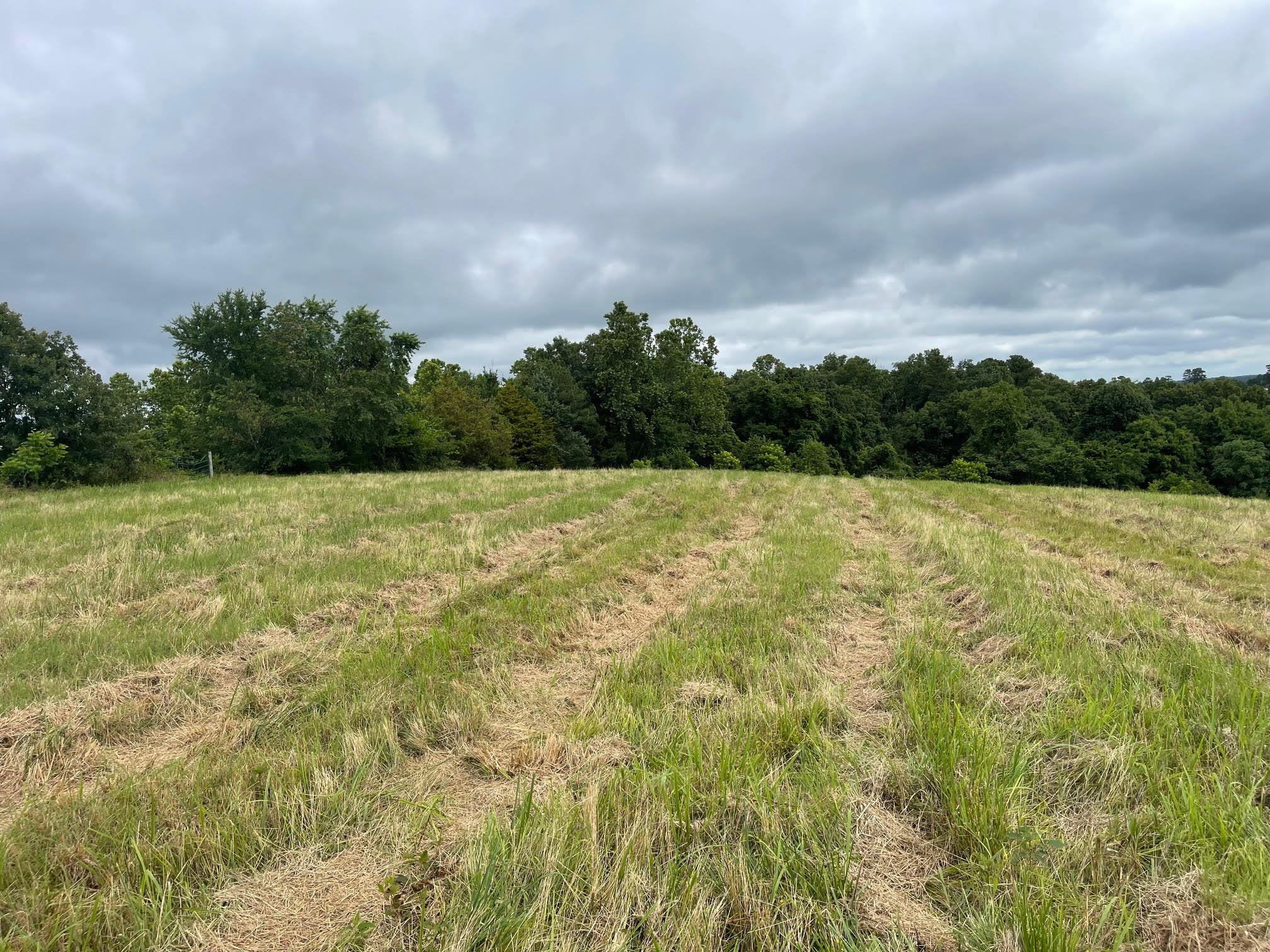 16.7 Ac Turkey Ridge Court Property Photo 4