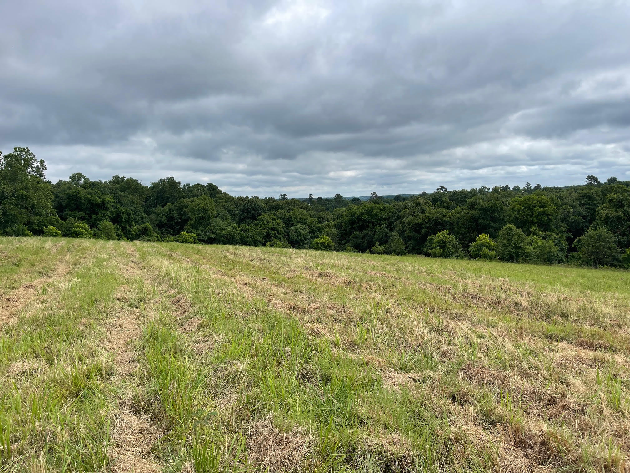 16.7 Ac Turkey Ridge Court Property Photo 5