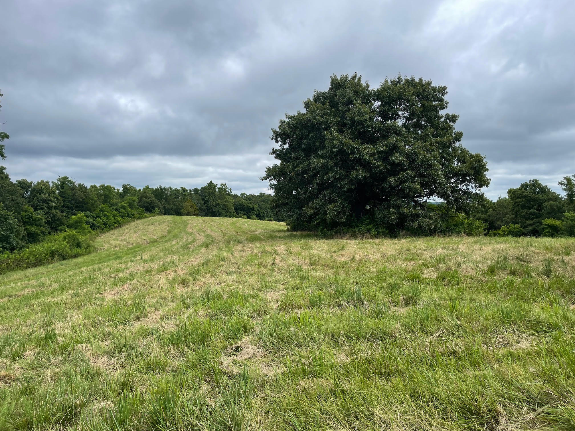 16.7 Ac Turkey Ridge Court Property Photo 6