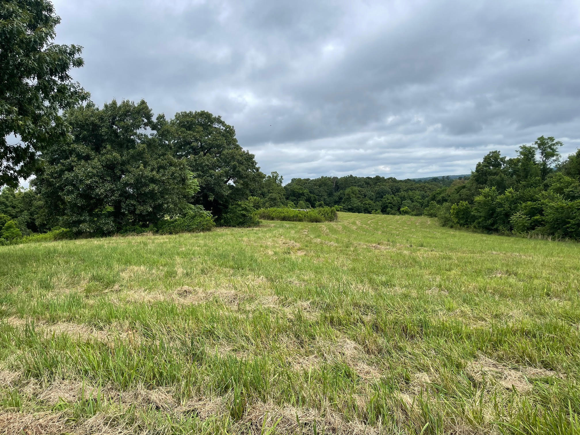 16.7 Ac Turkey Ridge Court Property Photo 7