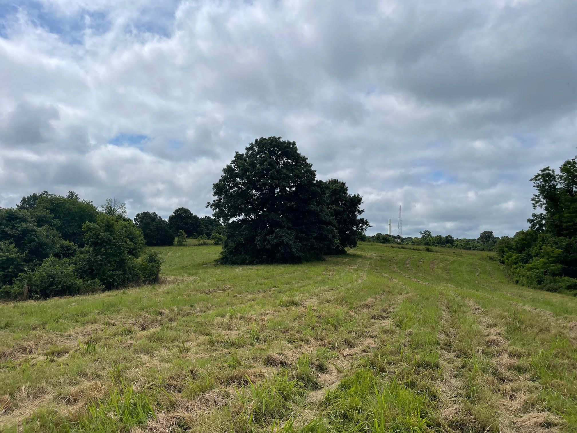 16.7 Ac Turkey Ridge Court Property Photo 8