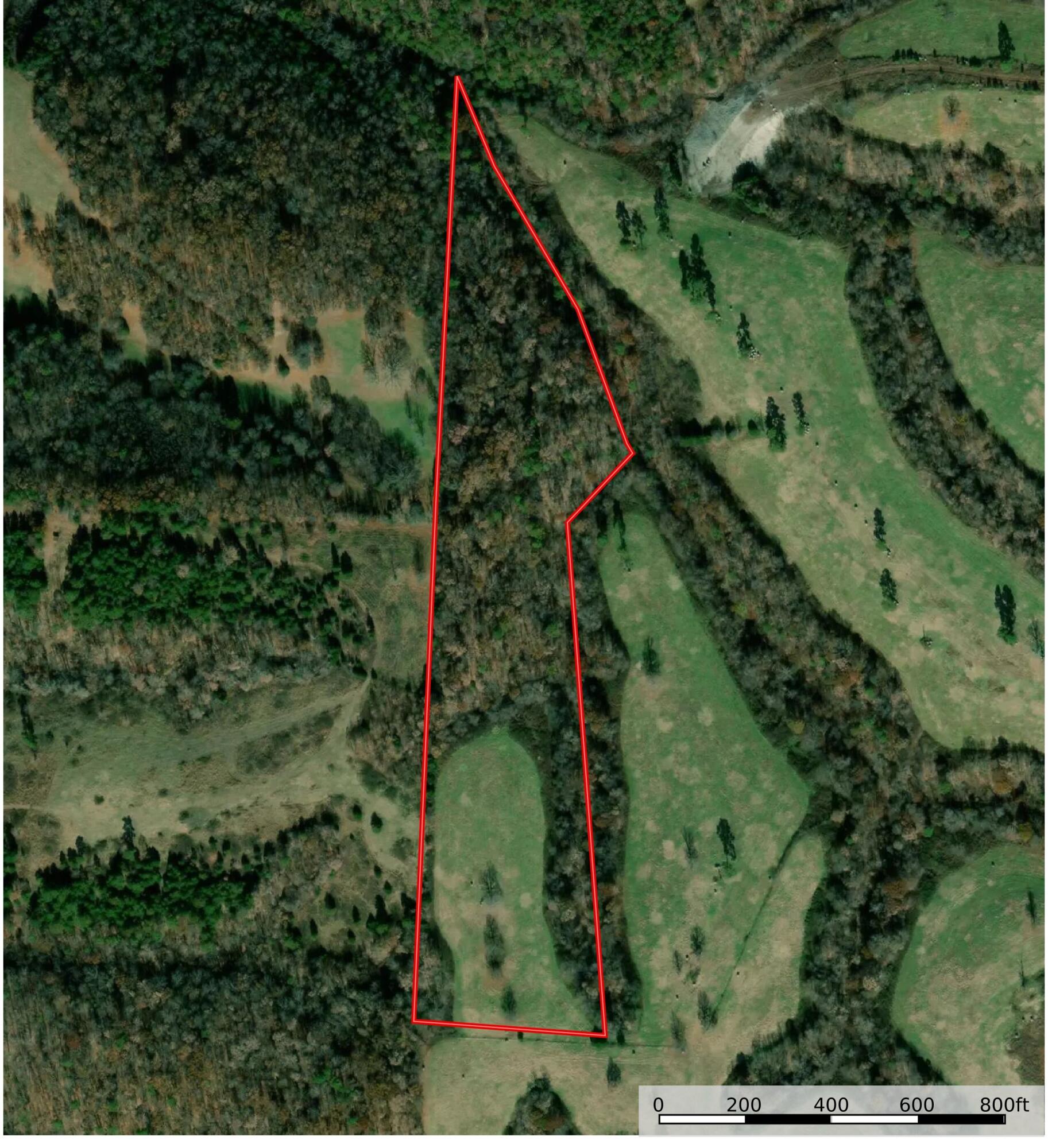 16.7 Ac Turkey Ridge Court Property Photo 9