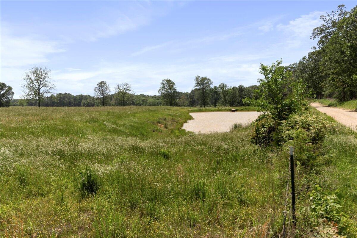 2453 County Road 119 Property Photo 28