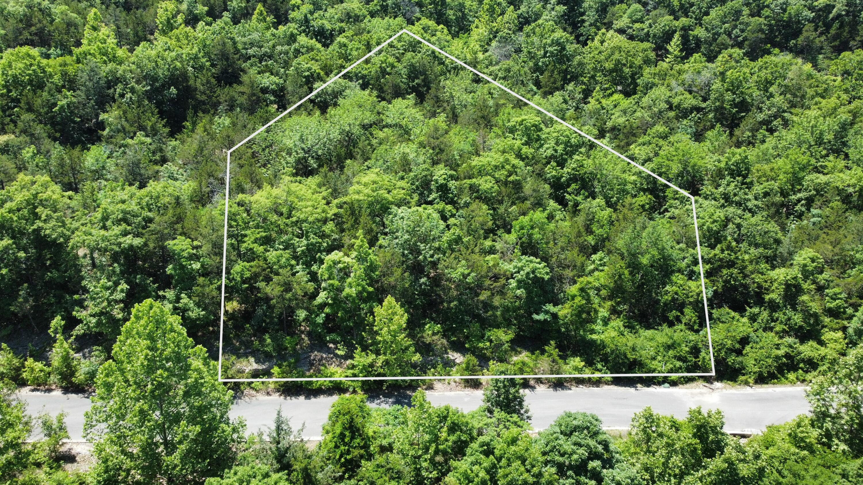 000 Syler Court Lot 222 Property Photo 2