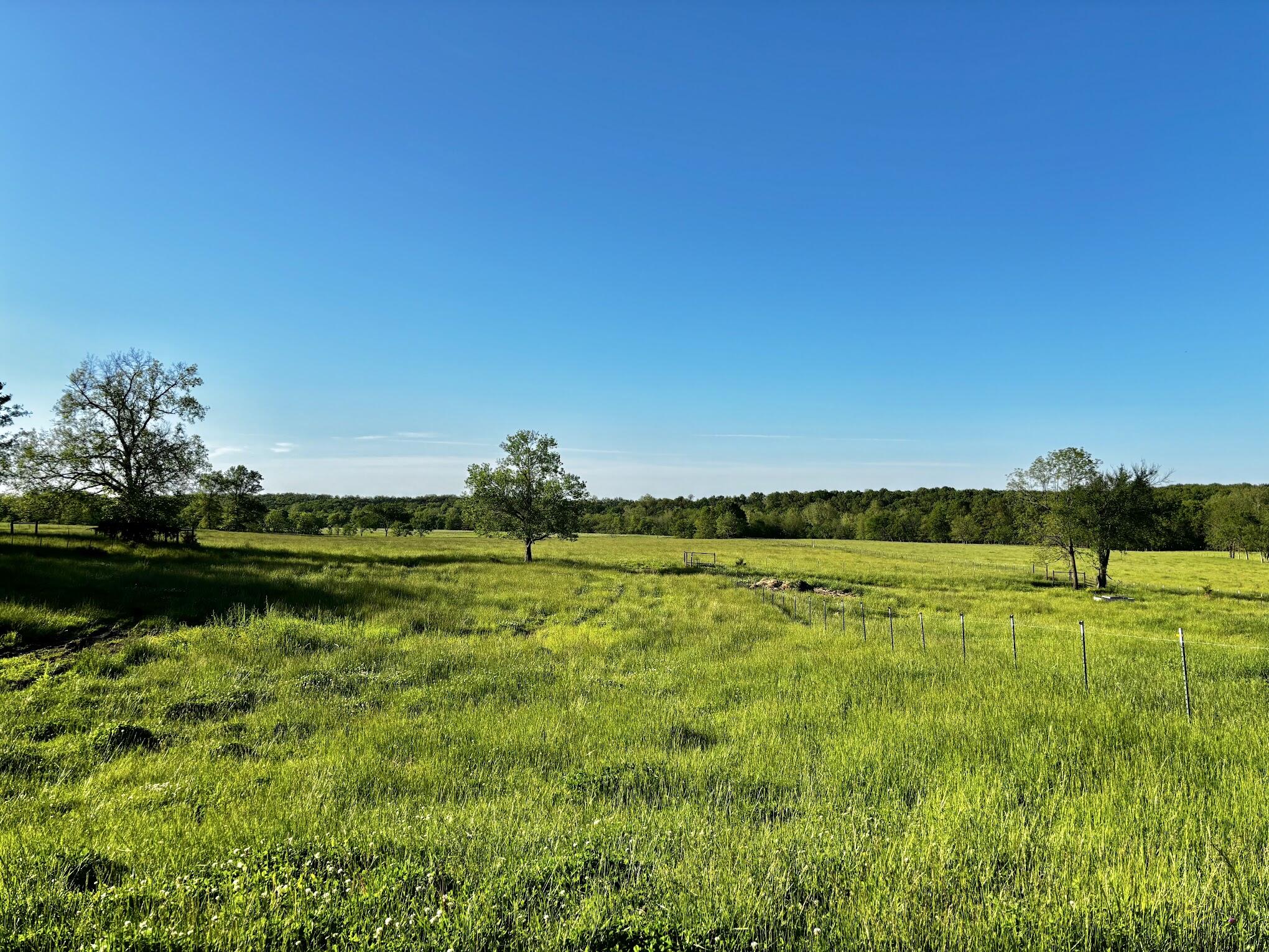 443 Sparkle Brook Road Property Photo 18