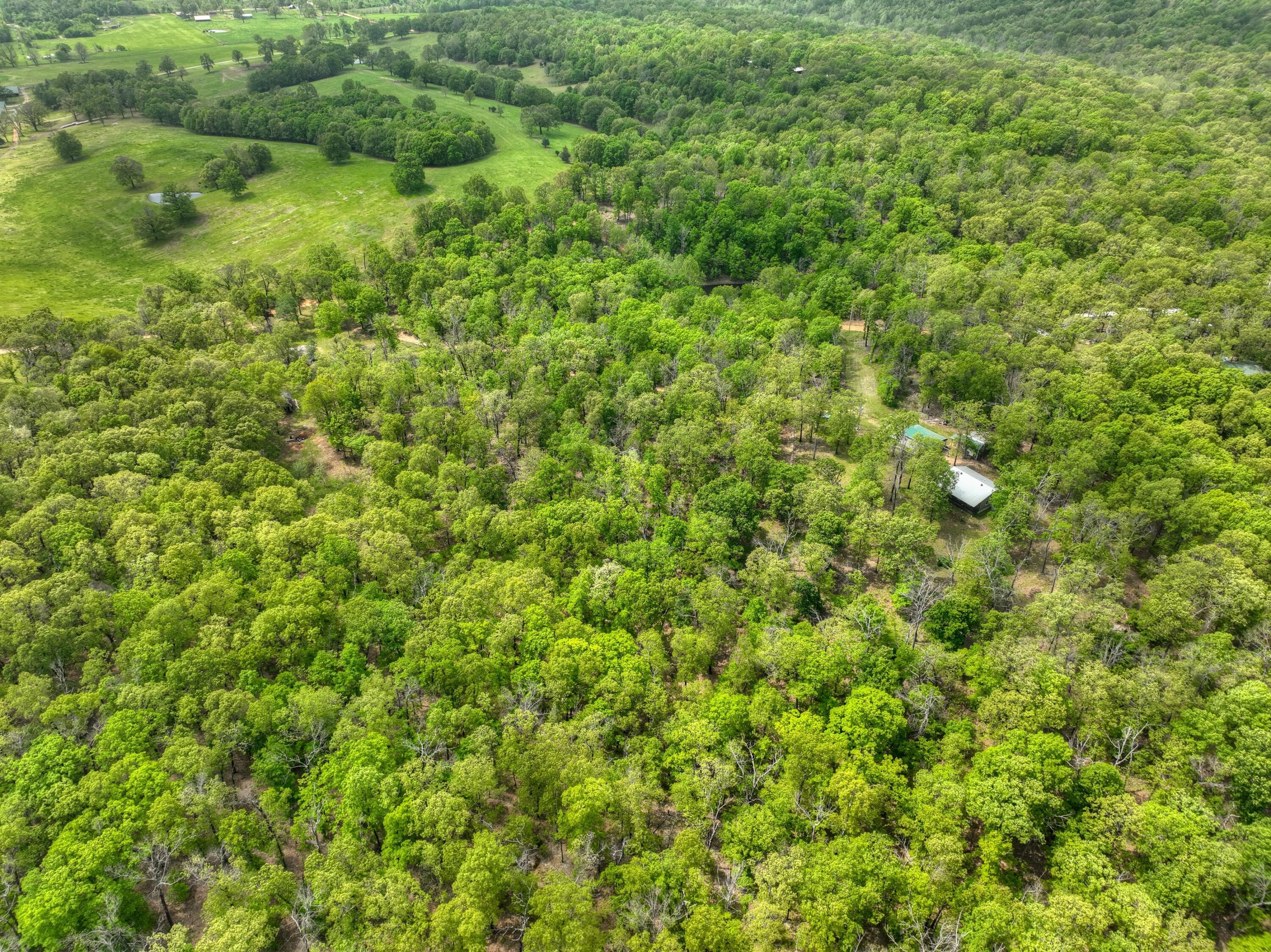 22351 South 672 Road Property Photo 57