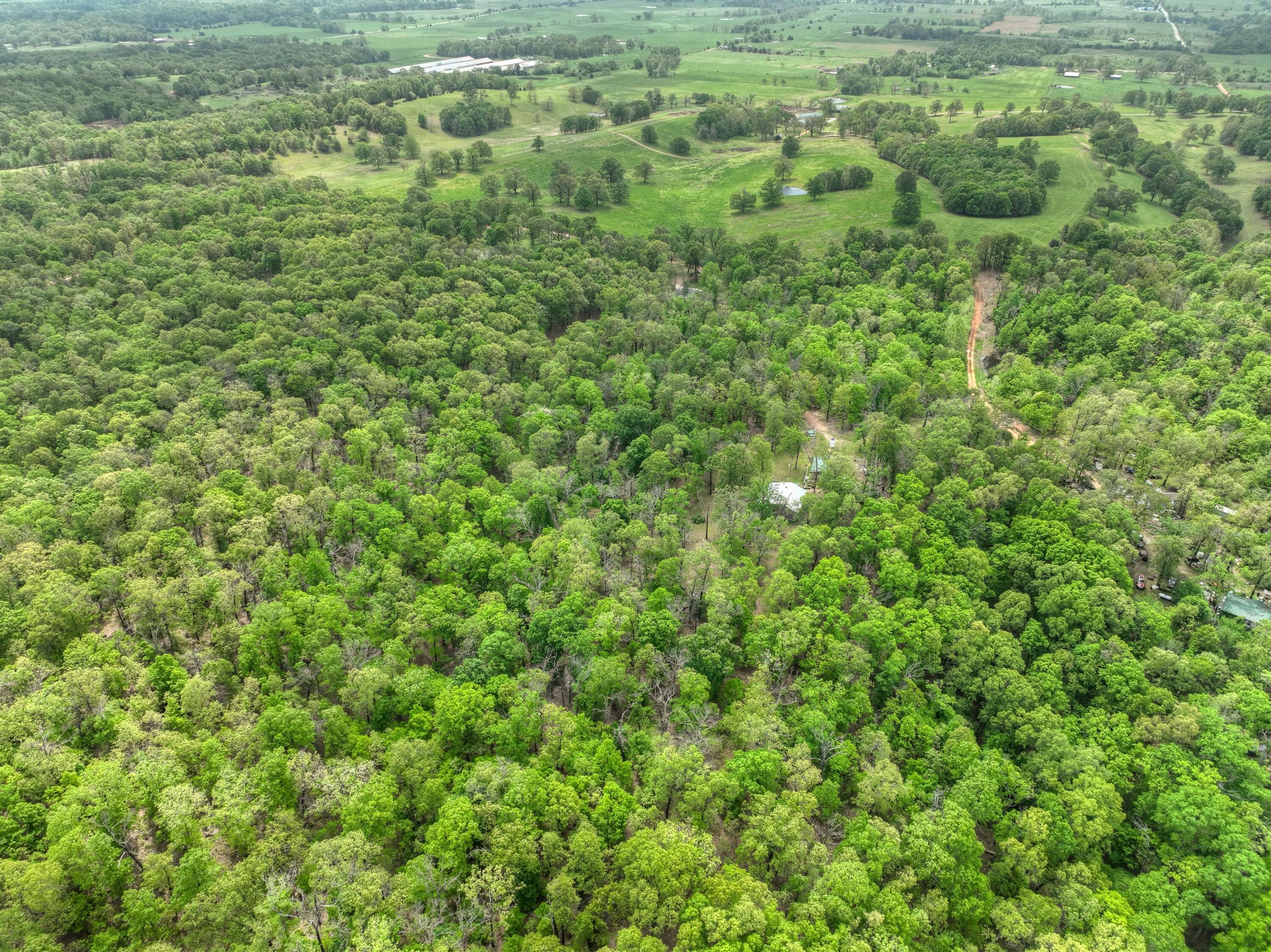 22351 South 672 Road Property Photo 59