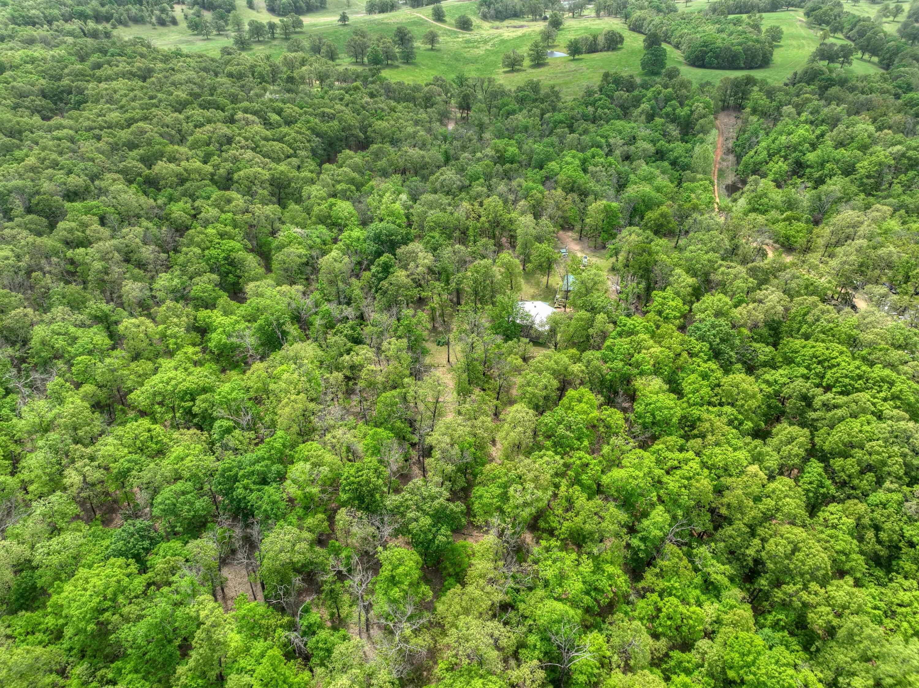 22351 South 672 Road Property Photo 60