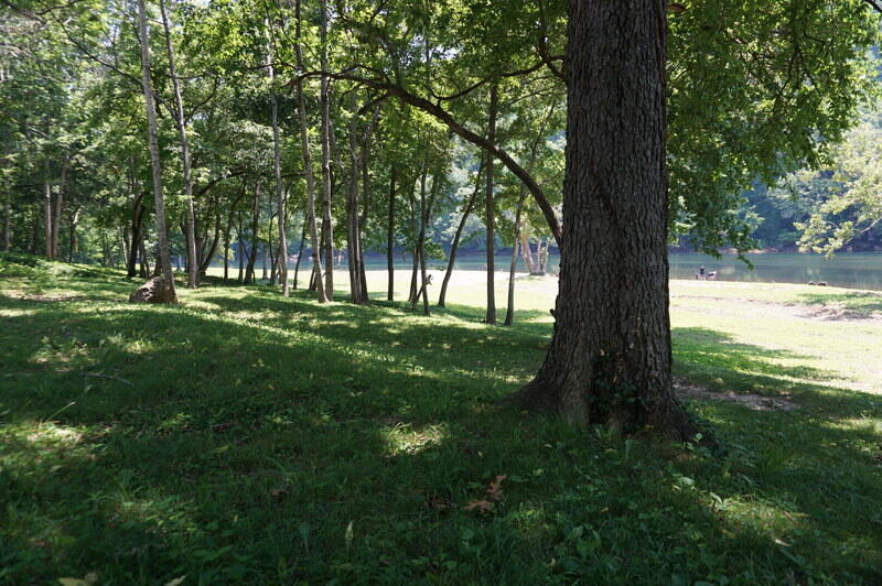280 Wimbledon Drive Property Photo 47