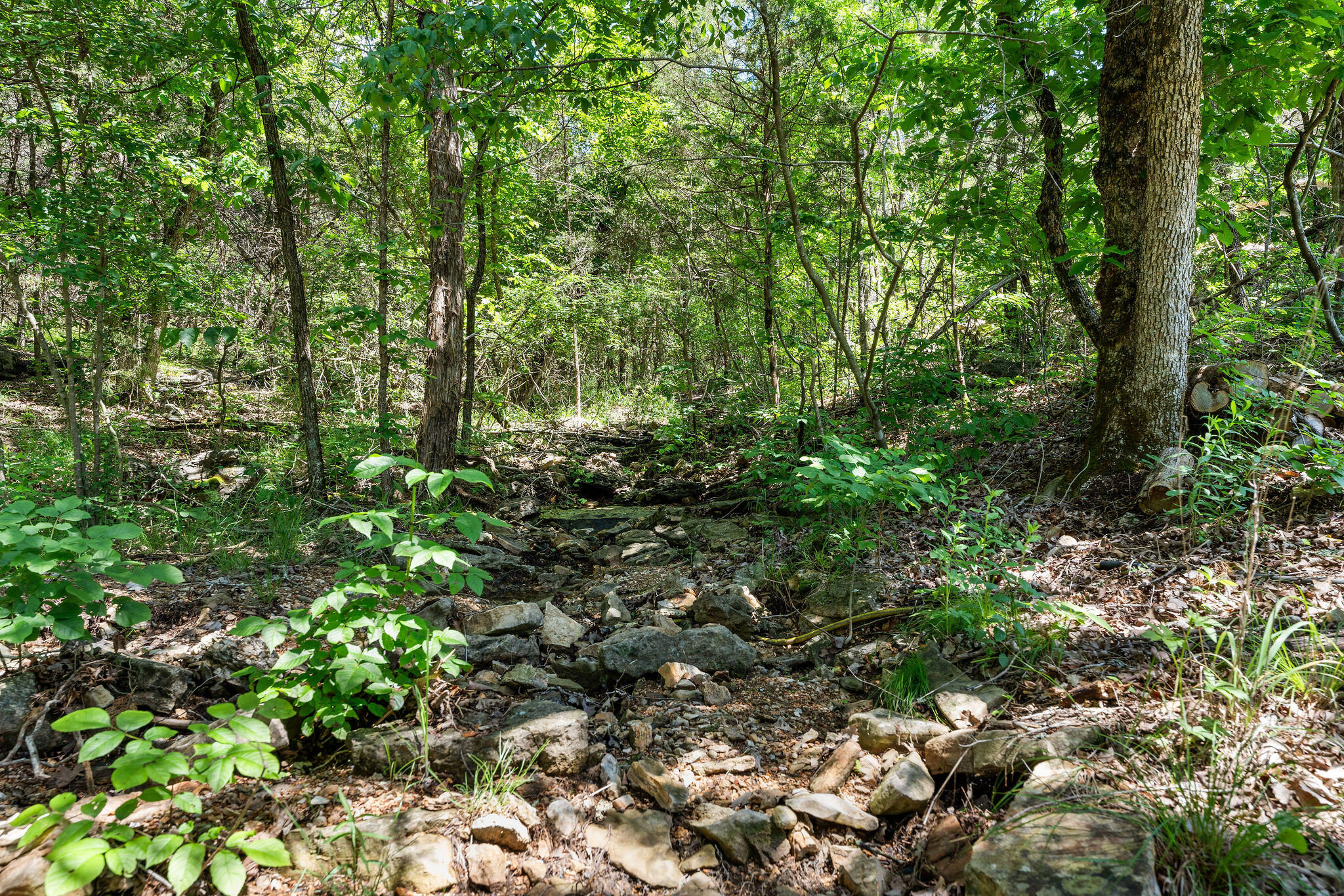 27841 Old Pace Lane Property Photo 37