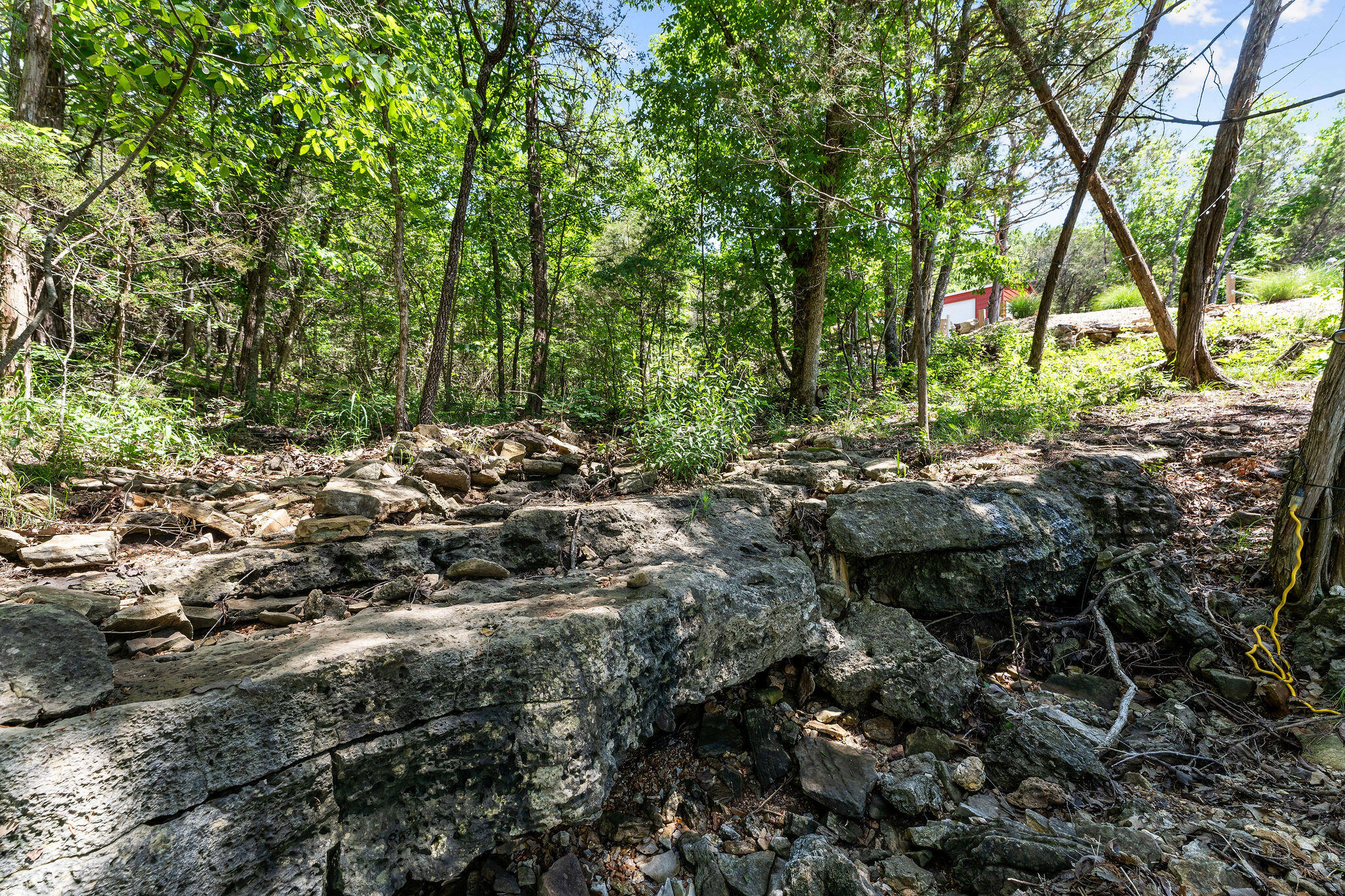 27841 Old Pace Lane Property Photo 38