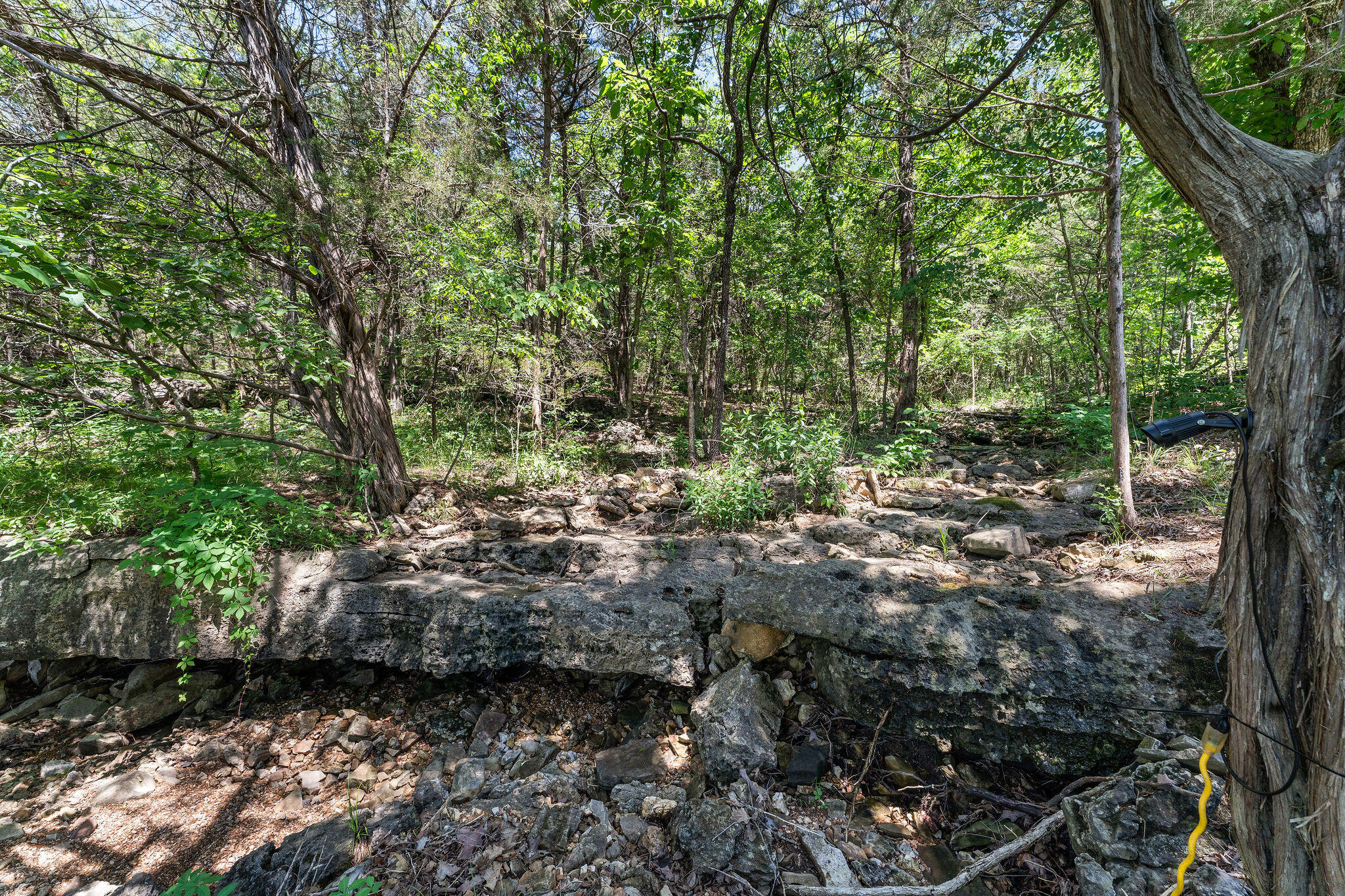 27841 Old Pace Lane Property Photo 39