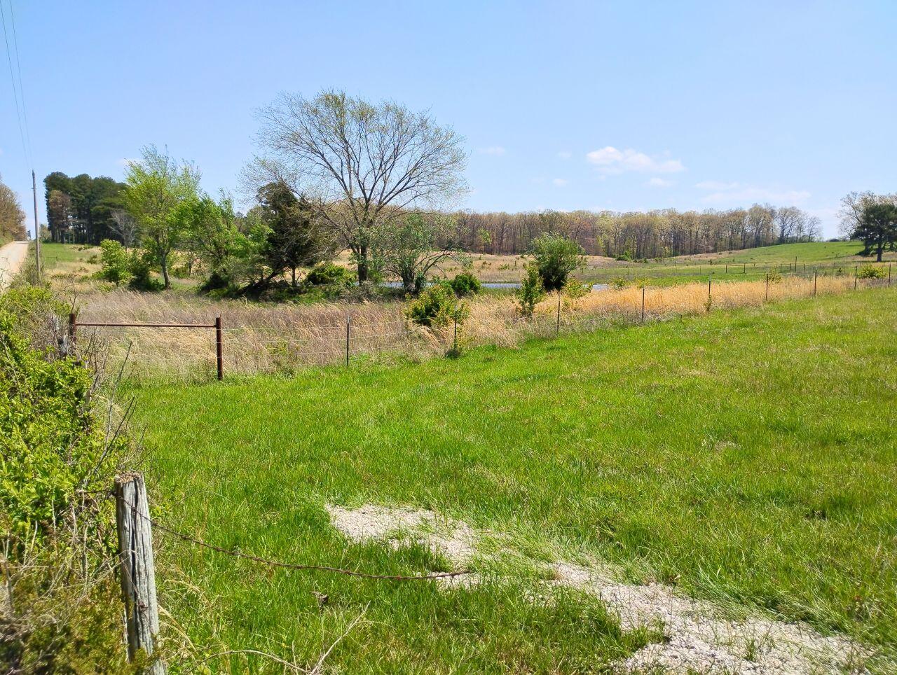 3917 County Road 4220 Property Photo 14