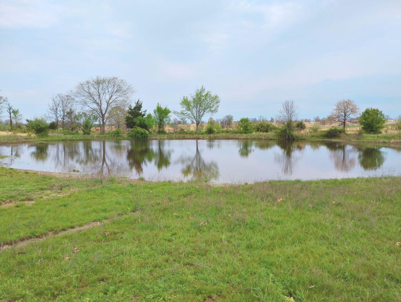 3917 County Road 4220 Property Photo 15