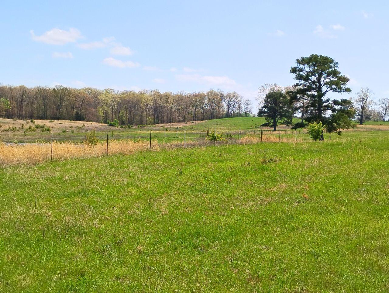 3917 County Road 4220 Property Photo 20