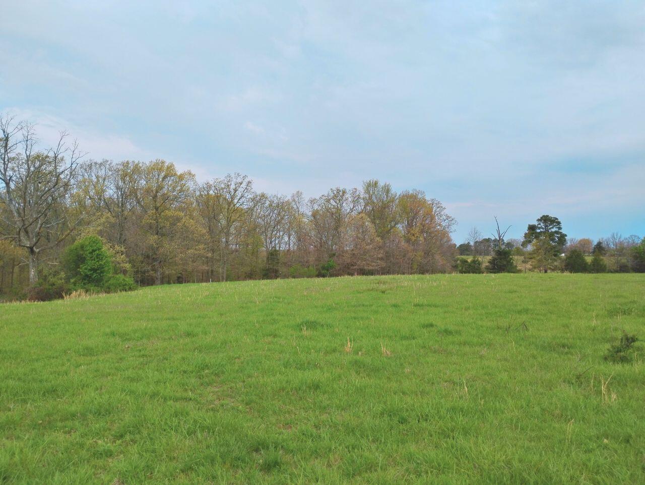 3917 County Road 4220 Property Photo 31