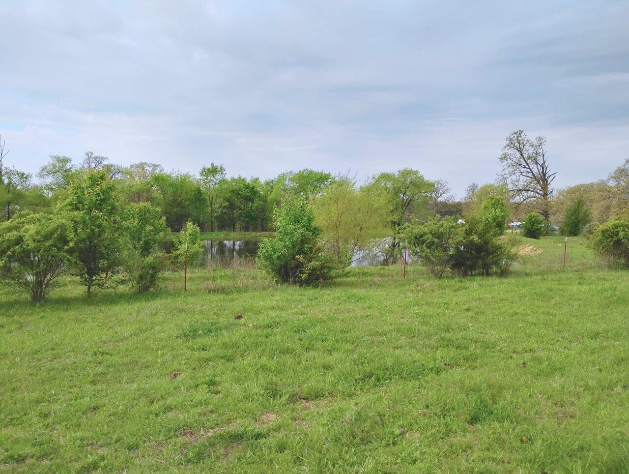 3917 County Road 4220 Property Photo 35