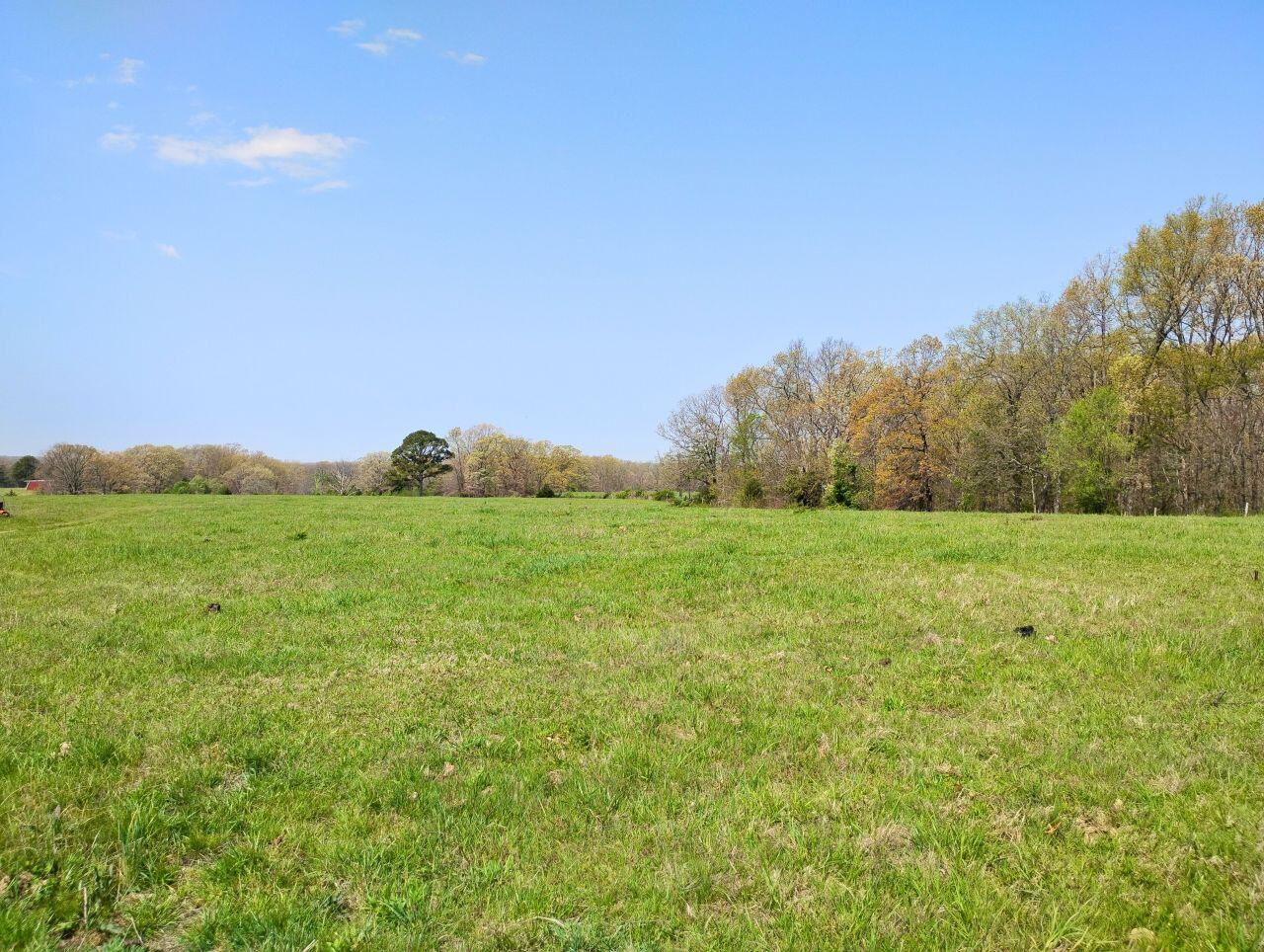 3917 County Road 4220 Property Photo 40
