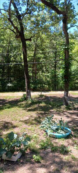 312 Bullhead Street Property Photo 2