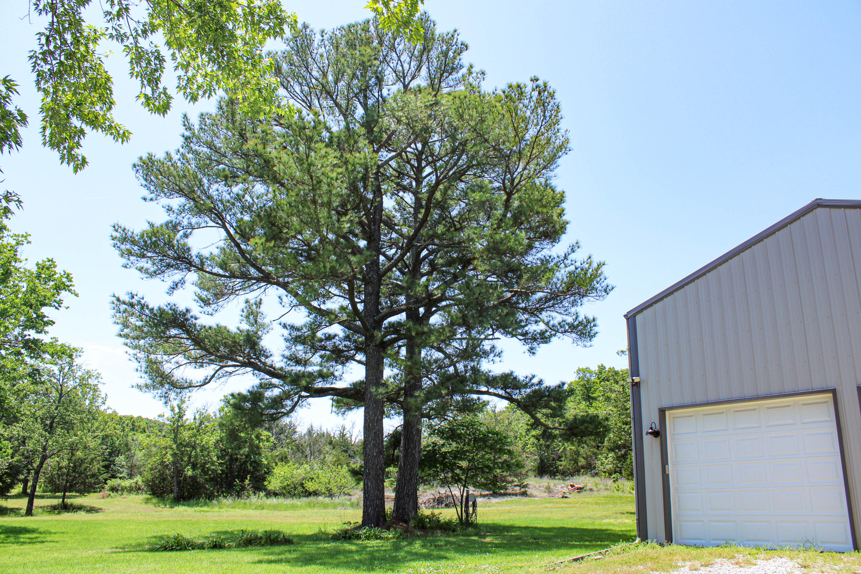 821 Northwest B Highway Property Photo 24